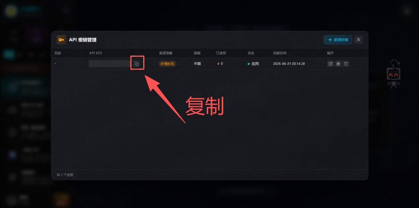 步骤6：复制已经打码的 API Key 示例